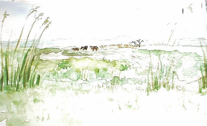 cliquez sur l'image pour retourner